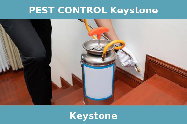 PEST CONTROL Keystone